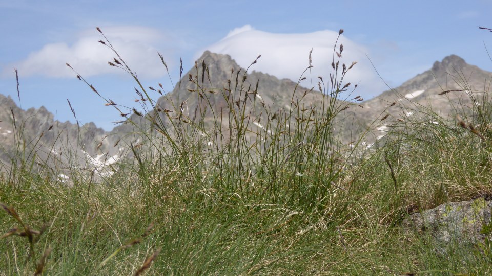 Caïre et Cime de l'Agnel