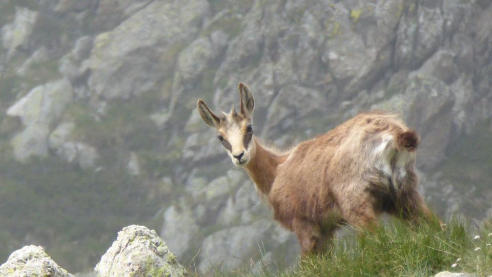 Il a dû en voir, danser, des nuages, malgré son jeune âge.